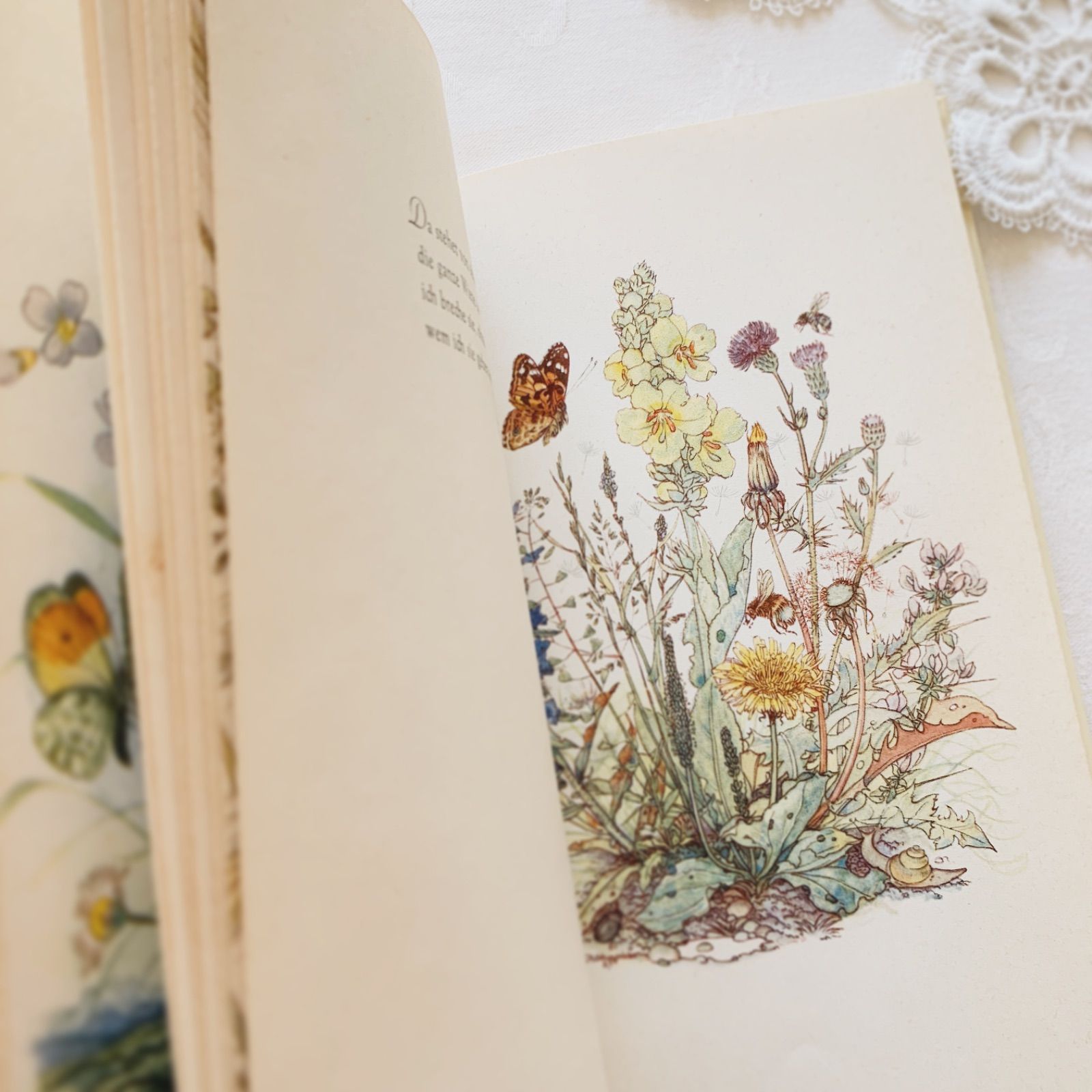 エルゼ・ヴェンツ＝ヴィエトール挿画が美しい-自然や四季の詩を集めた