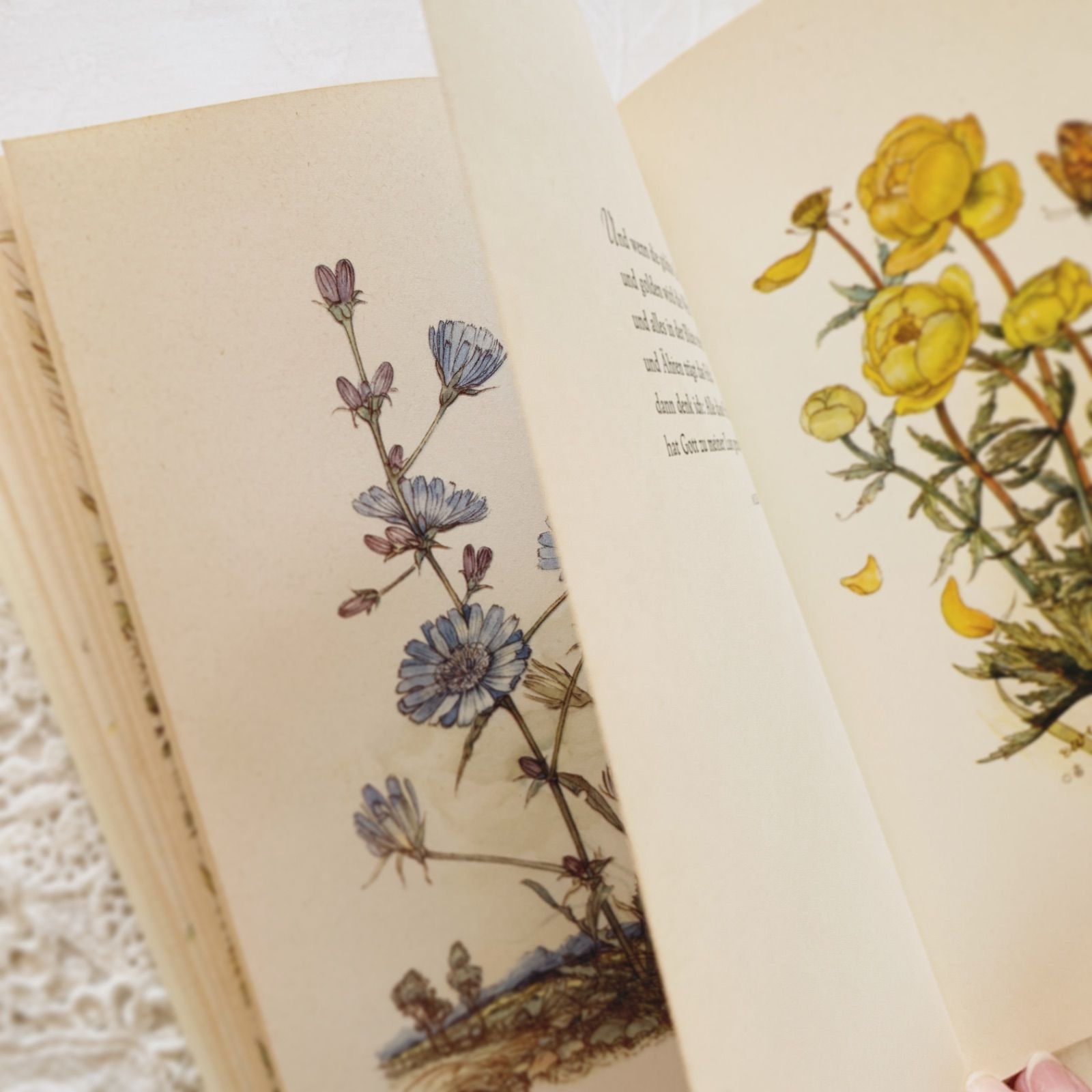 エルゼ・ヴェンツ＝ヴィエトール挿画が美しい-自然や四季の詩を集めた