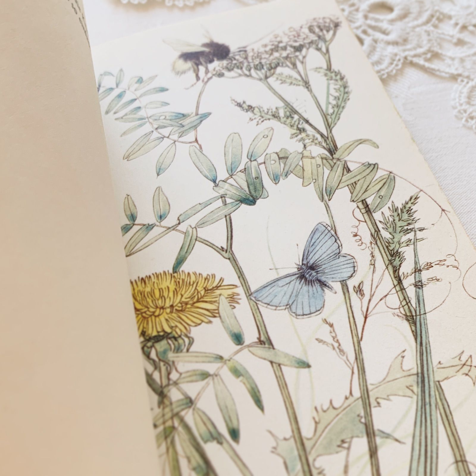 エルゼ・ヴェンツ＝ヴィエトール挿画が美しい-自然や四季の詩を集めた