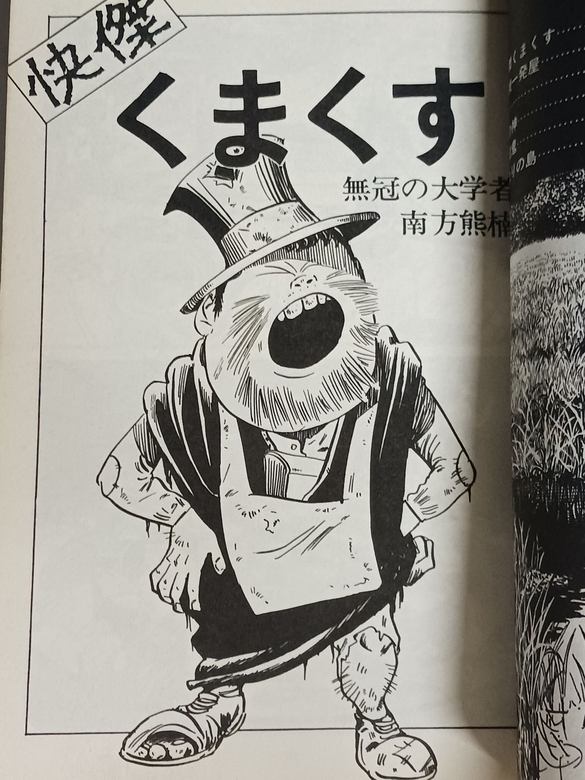 水木しげる 奇人変人伝 - メルカリ