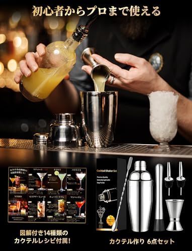 カクテルシェイカー 6点セット カクテル セット 道具 550ml カクテル