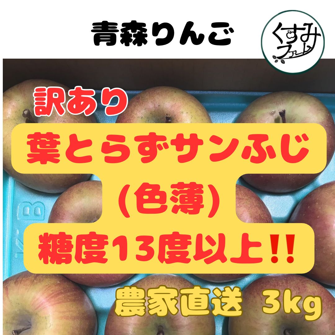 青森県産りんご 葉とらずサンふじ色薄 糖度13度以上 訳あり3kg - メルカリ