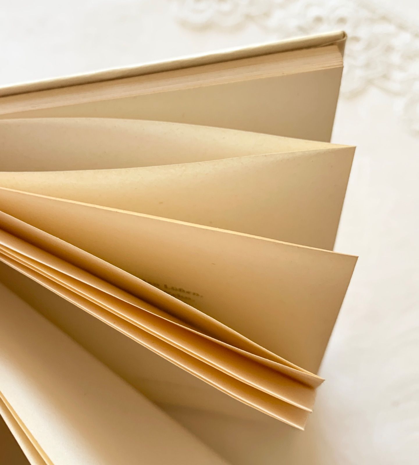 エルゼ・ヴェンツ＝ヴィエトール挿画が美しい-自然や四季の詩を集めた