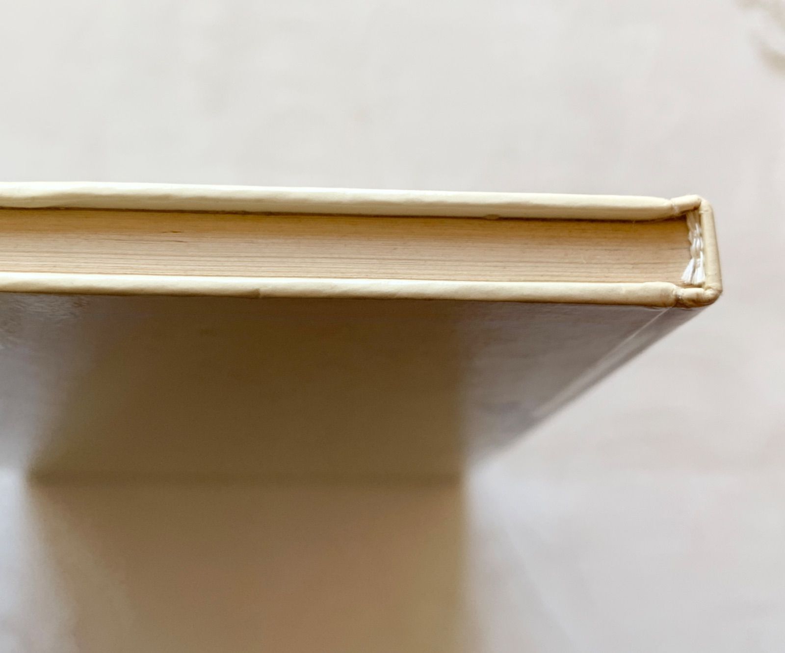 エルゼ・ヴェンツ＝ヴィエトール挿画が美しい-自然や四季の詩を集めた