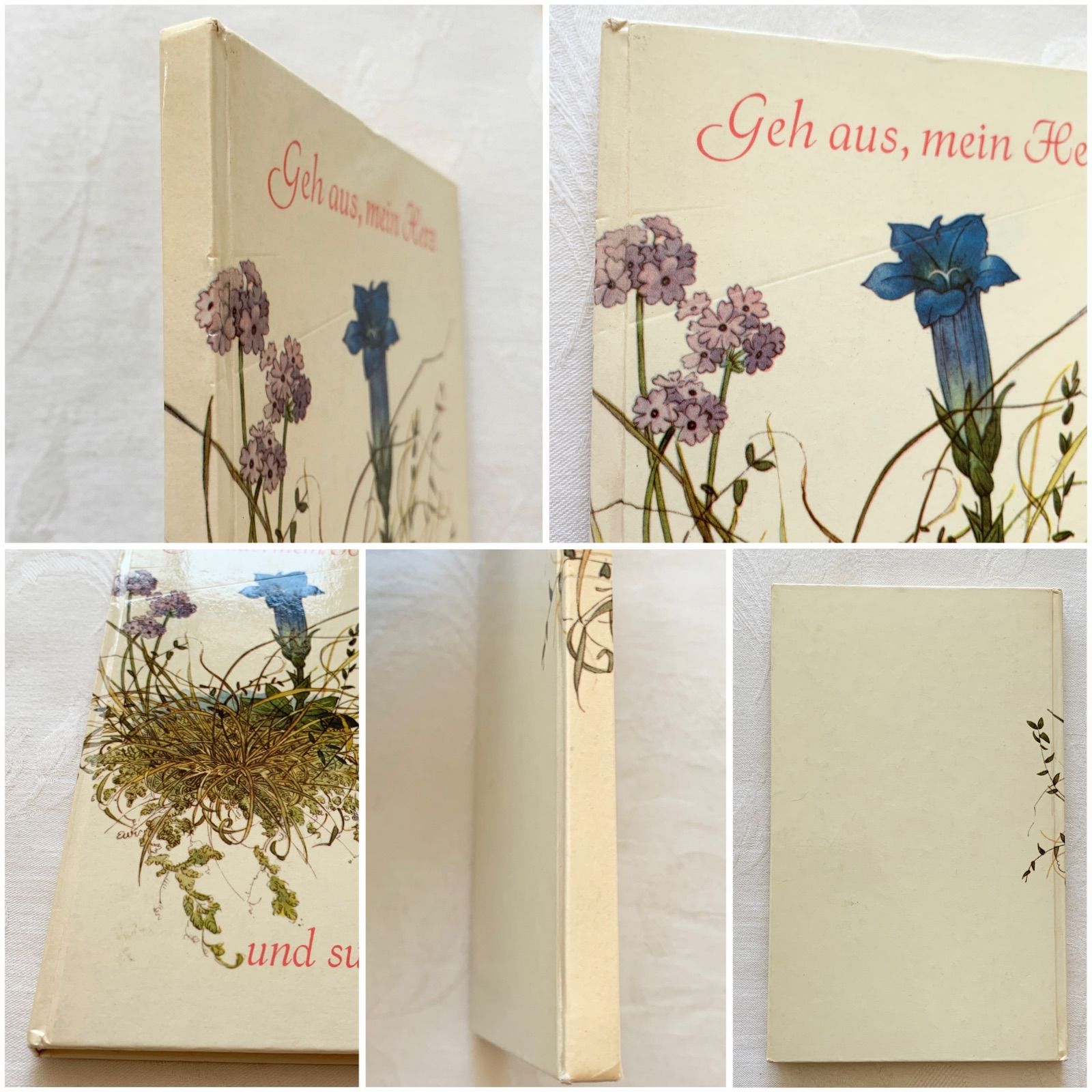 エルゼ・ヴェンツ＝ヴィエトール挿画が美しい-自然や四季の詩を集めた