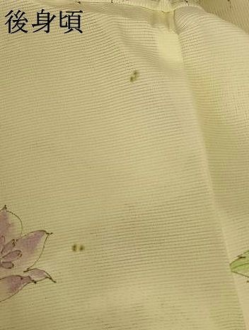 平和屋着物＊夏物 小紋 絽 手描き 草花文 洗える着物 AABG9186jd