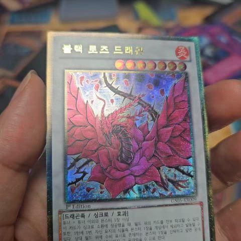 遊☆戯☆王 ブラック・ローズ・ドラゴン GOLD シークレット 1st 金