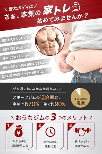 PYKES PEAK (パイクスピーク) ぶら下がり健康器 懸垂マシン 懸垂バー