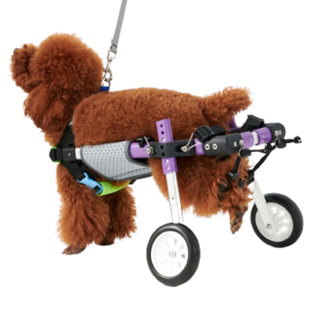 犬用車椅子 2輪 小型犬 中型犬 後脚サポート 歩行器 軽量 全身のサイズ
