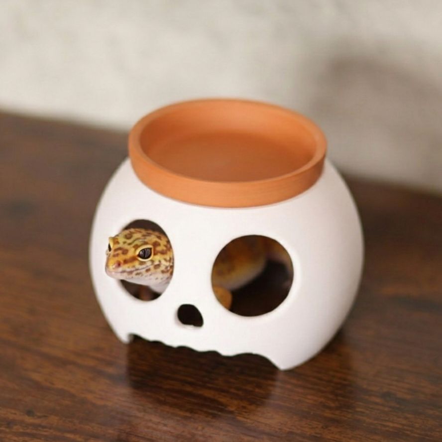 機能性ウェットシェルター がいこつ】 爬虫類 隠れ家 レオパ ニシアフ