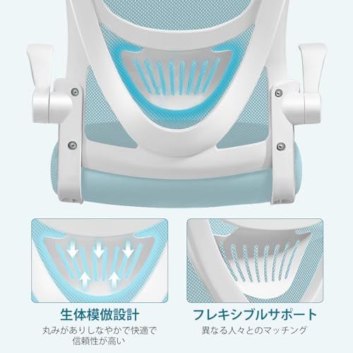 EdoErgo オフィスチェア