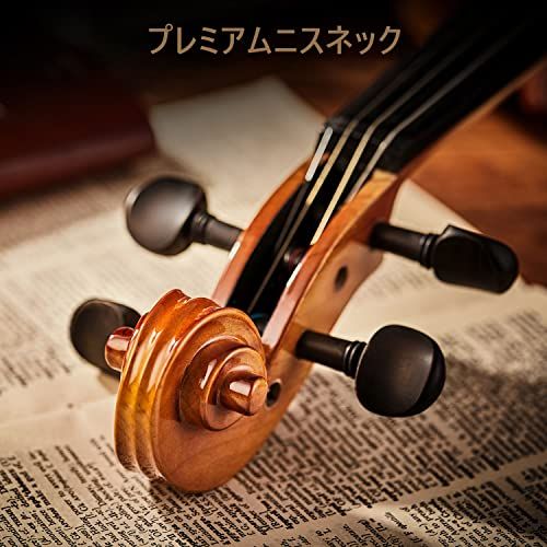 Eastarバイオリン 4/4 単板 ソリッド 弓2本 初心者にも上級の