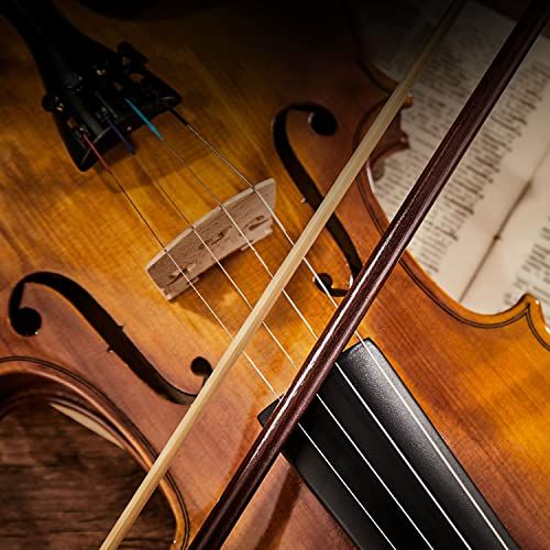 Eastarバイオリン 4/4 単板 ソリッド 弓2本 初心者にも上級の