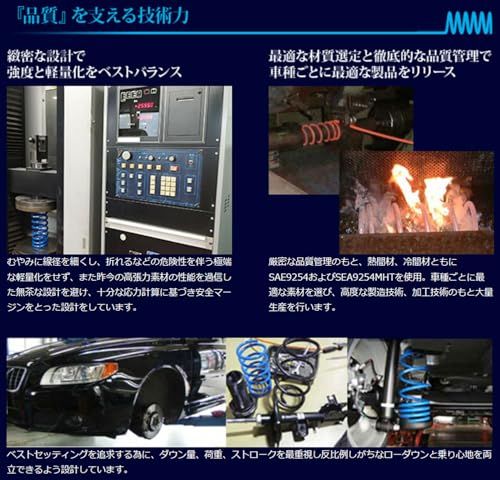 新品 ESPELIR (エスペリア) ダウンサス【SuperDOWNSUS】スバル