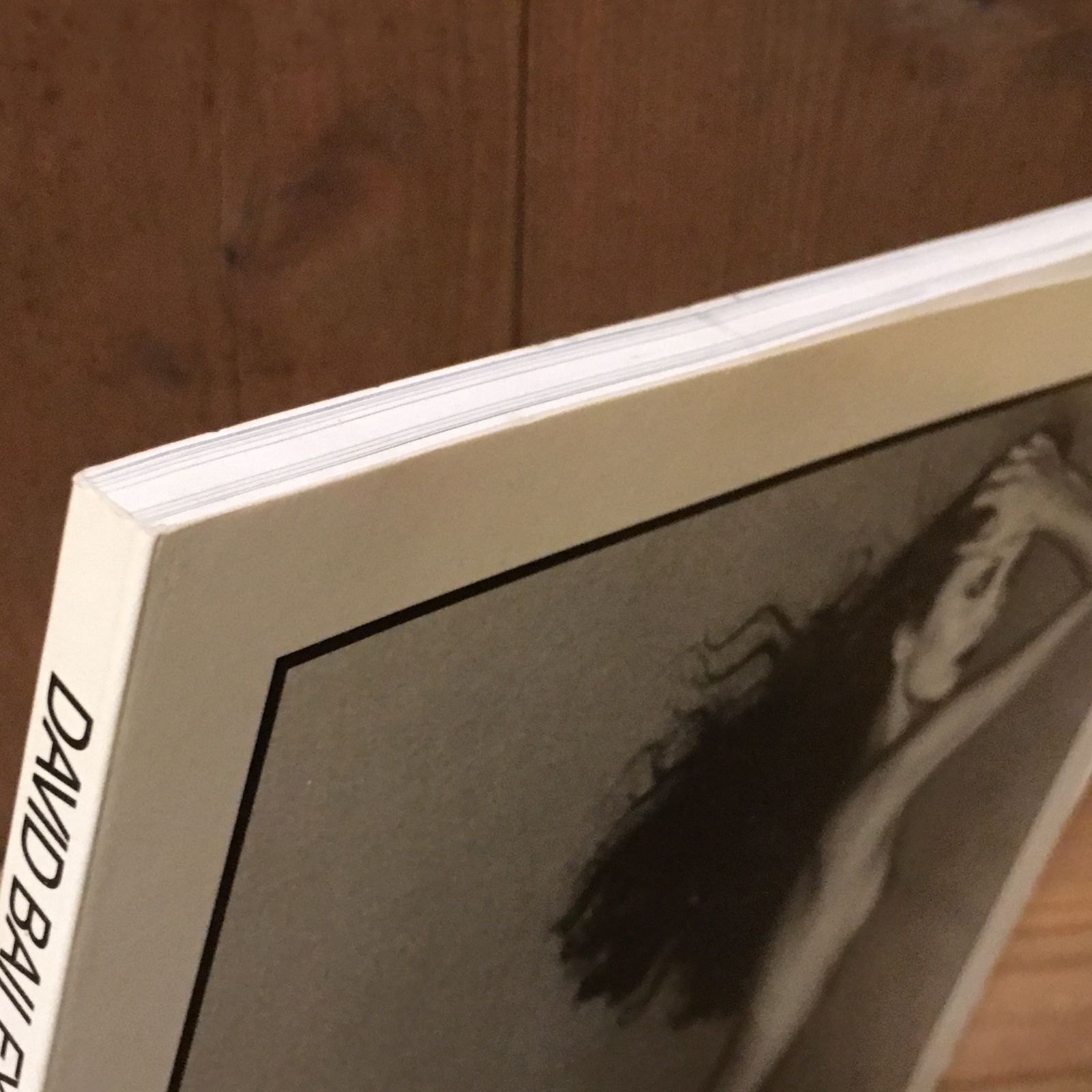 Mrs. David Bailey: Photographs David Bailey, preface J. H