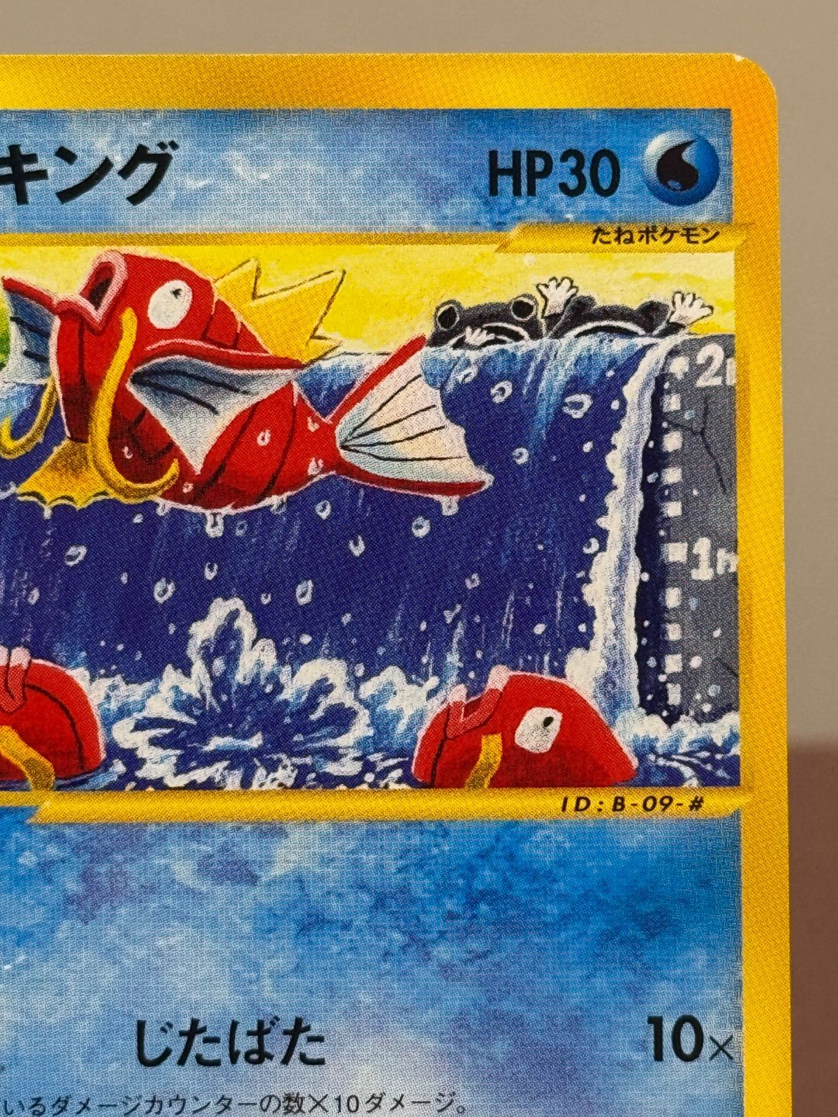 eシリーズ】コイキング ○ ポケモンカード 012/128 ポケモンカード