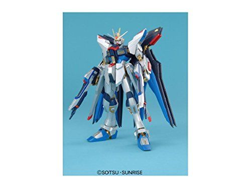 新品 MG 1/100 ZGMF-X10A フリーダムガンダム エクストラフィニッシュ