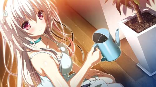 新品 トリノライン 完全生産限定版 -Switch 【特典】アクリル