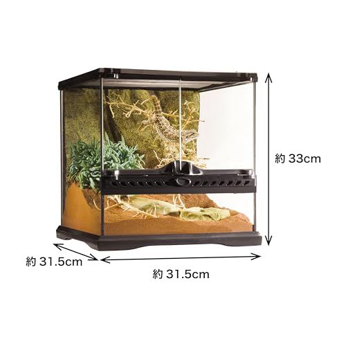 エキゾテラ GEX EXOTERRA グラステラリウム 3030 PT2600 両開き