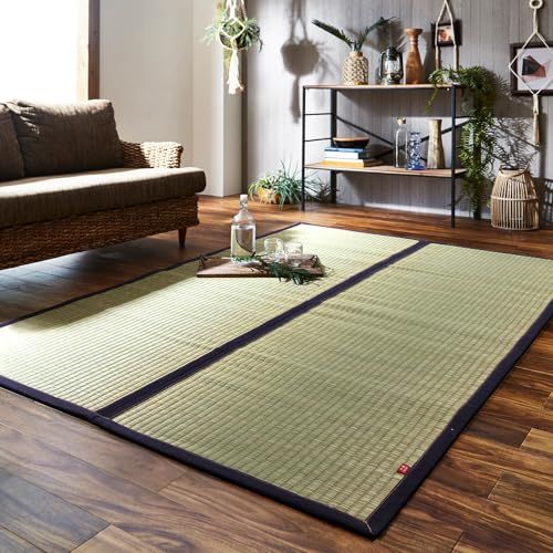 新品 イケヒコ い草 ラグ カーペット マット 長方形 DX沖縄ビーグ