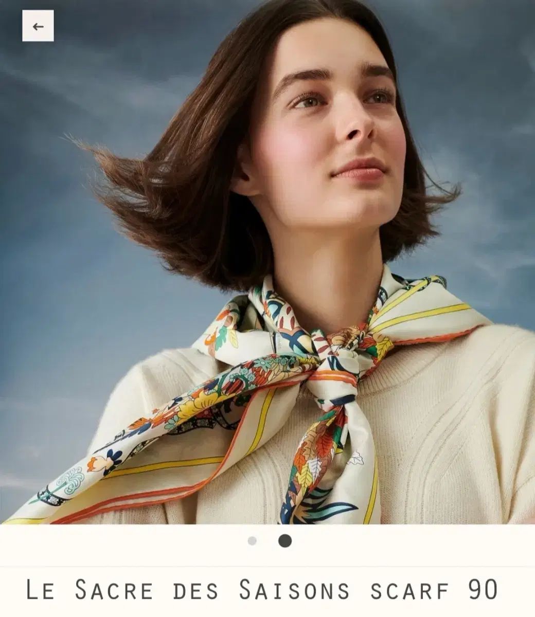新品エルメス カレ90　Le Sacre des Saisons 四季の祭典 エルメス スカーフ カレ90 四季の祭典 Le Sacre des Saisons HERMES