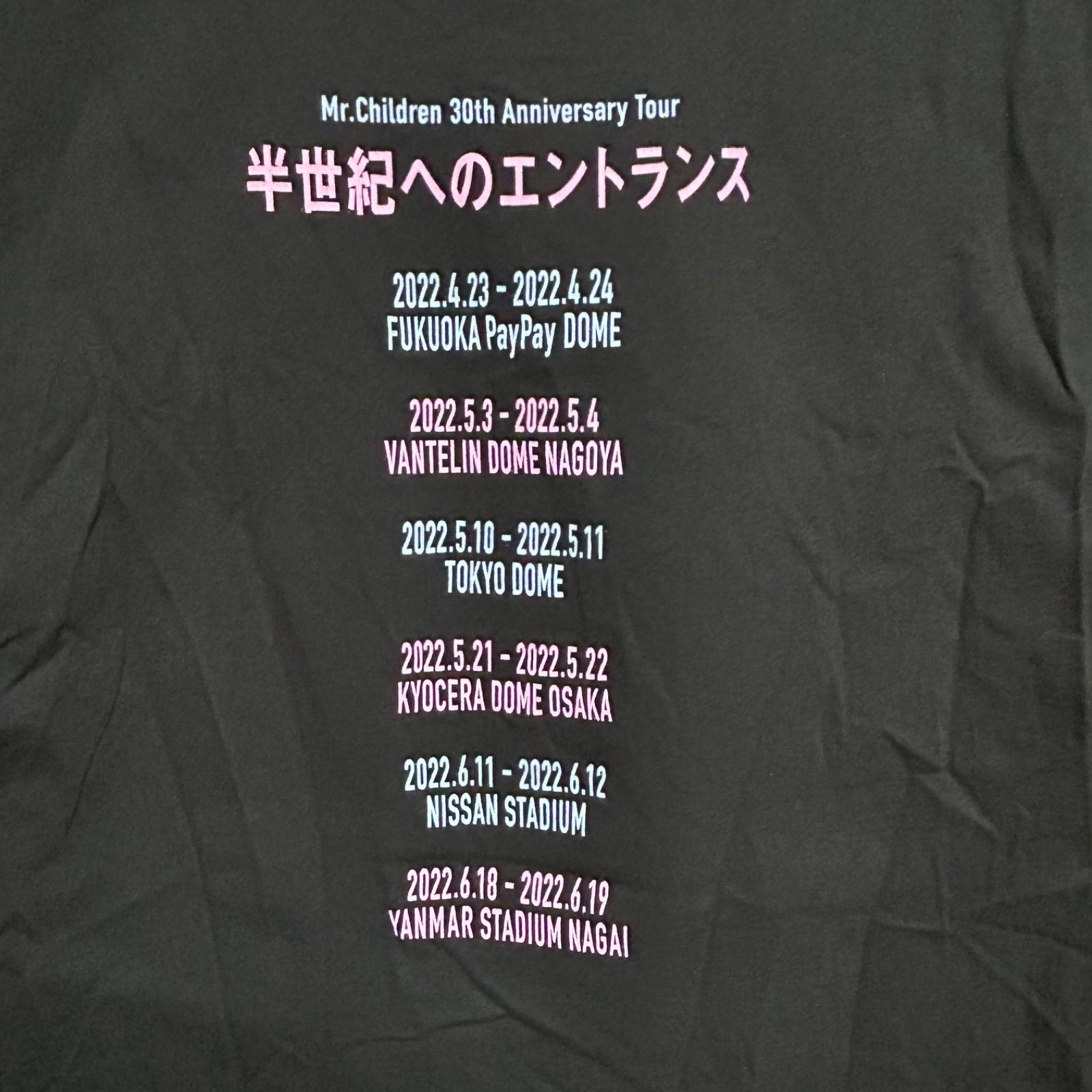 Mr.Children 30th Anniversary Tour 公式Tシャツ Lサイズ 完売品 半