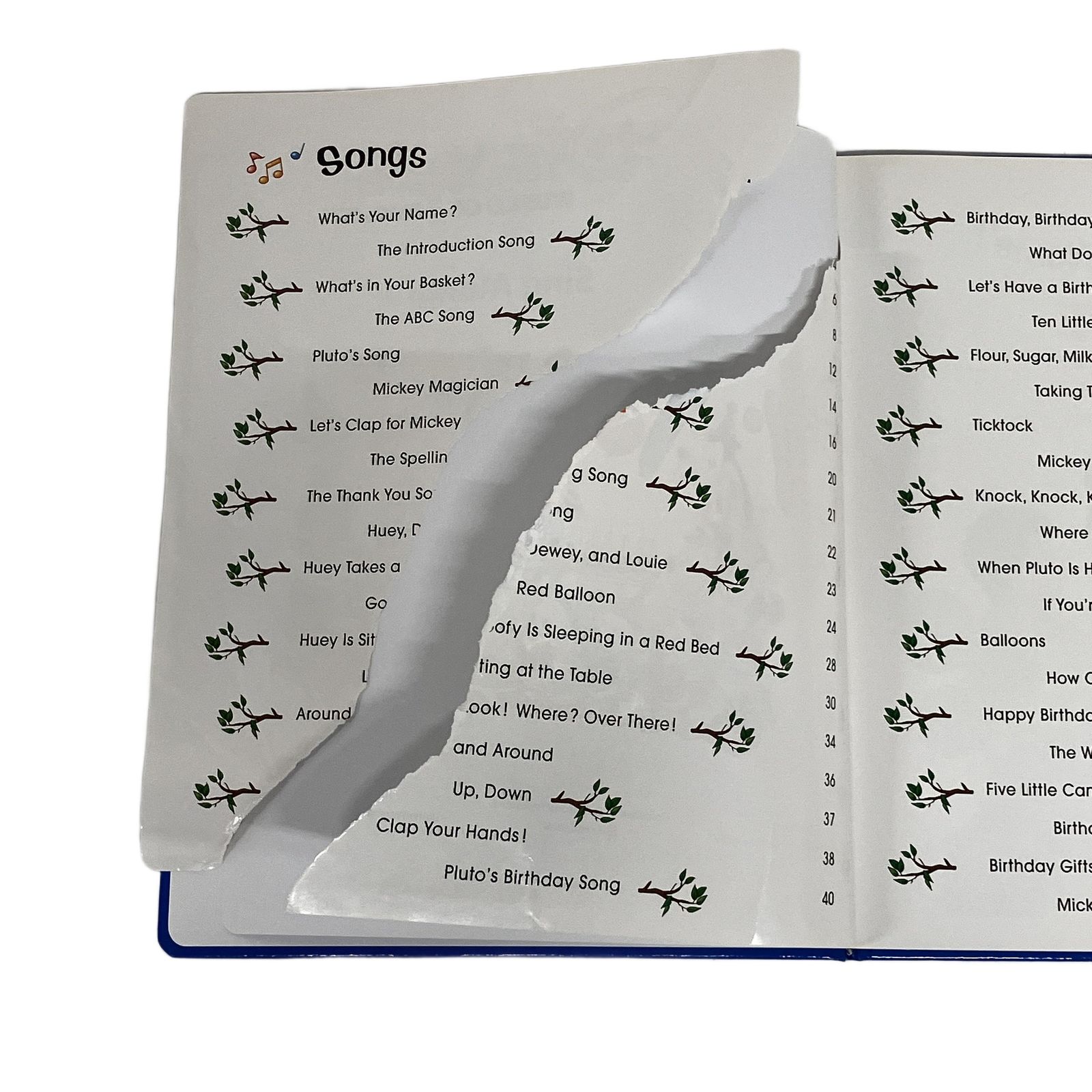 DWE シングアロング DVD 2018年頃 ディズニー ワールド イングリッシュ