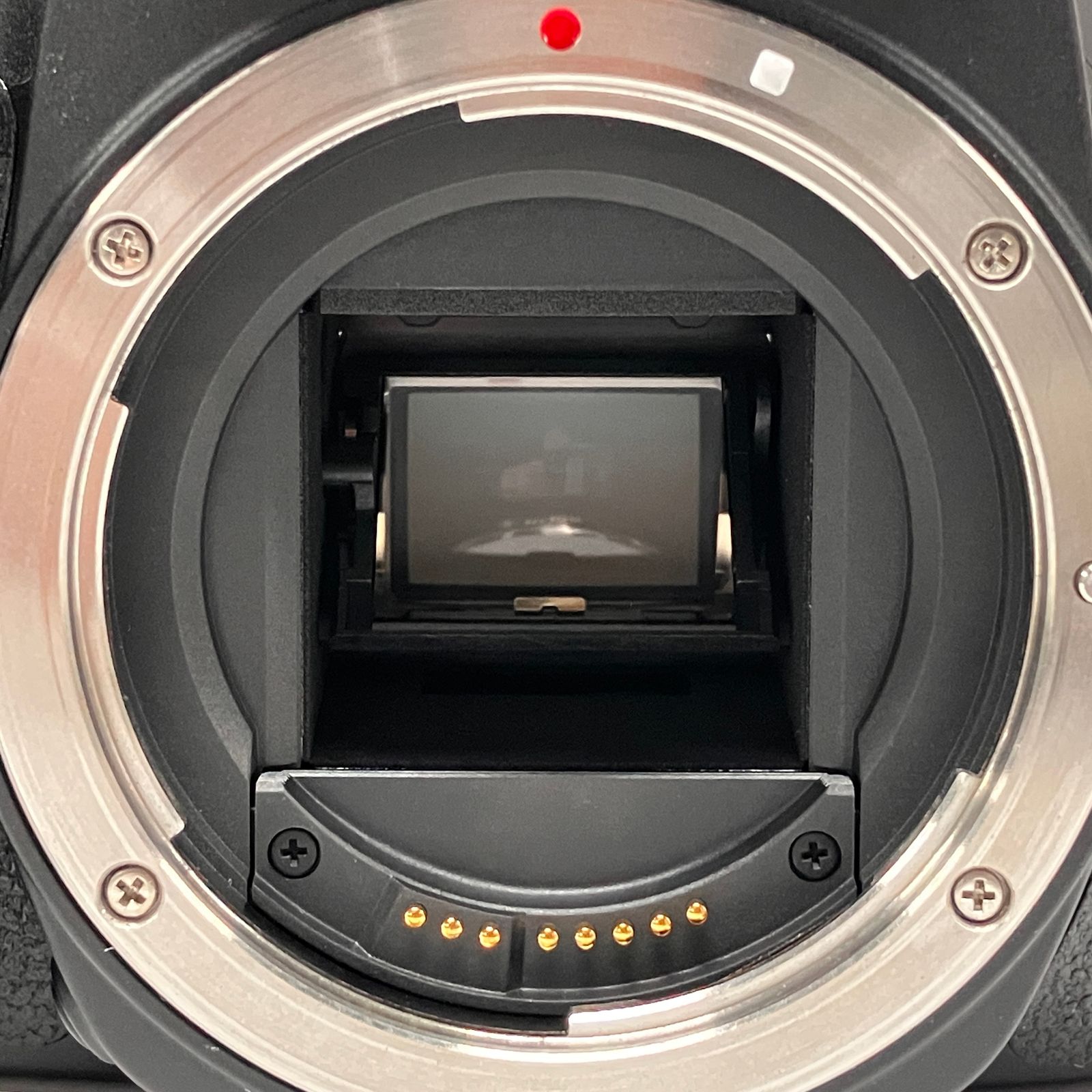 CANON EOS Kiss X10i EF-S 18-55mm F4-5.6/55-250mm F4-5.6 ダブル