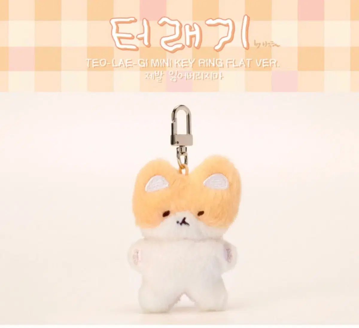 トレギ TEOLAEGI 紛失しないで 未開封 ベクヒョン(BAEKHYUN