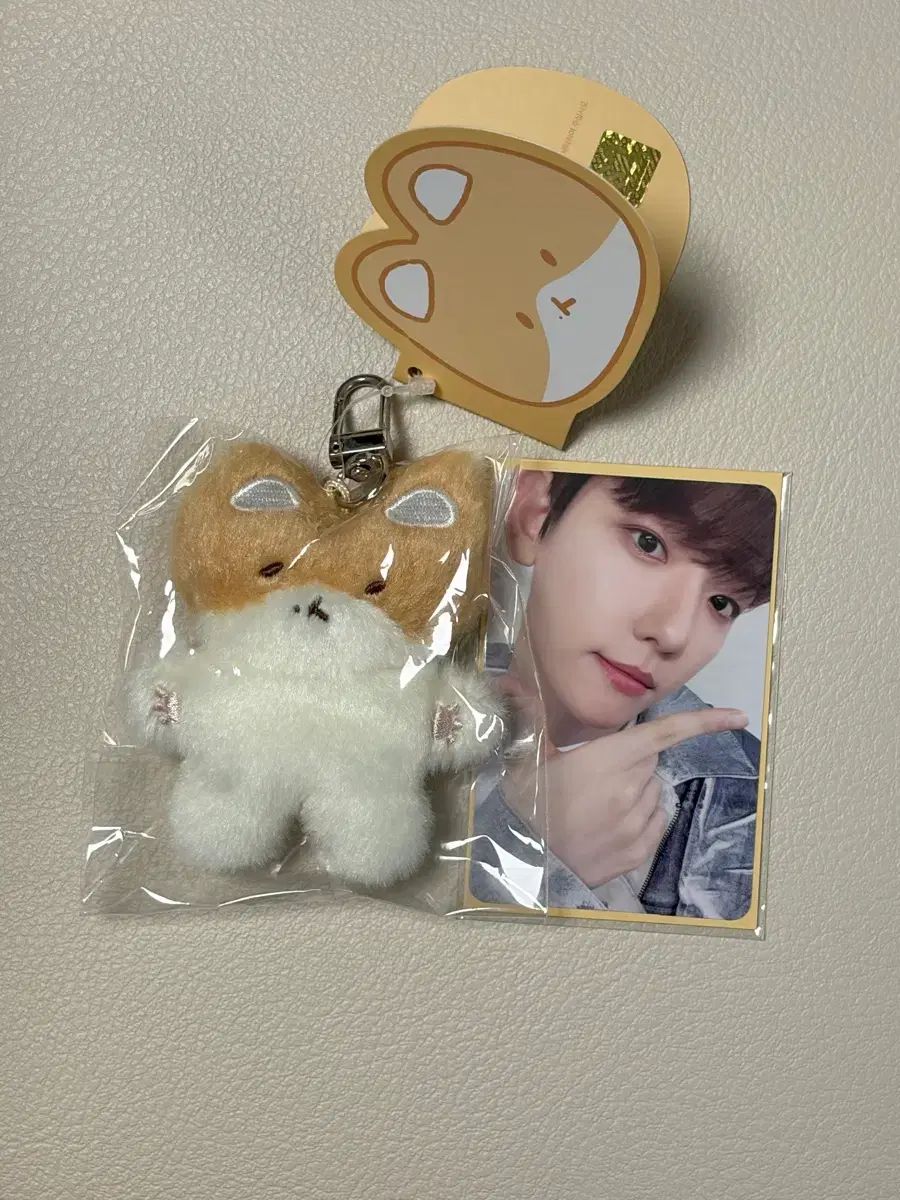 トレギ TEOLAEGI 紛失しないで 未開封 ベクヒョン(BAEKHYUN