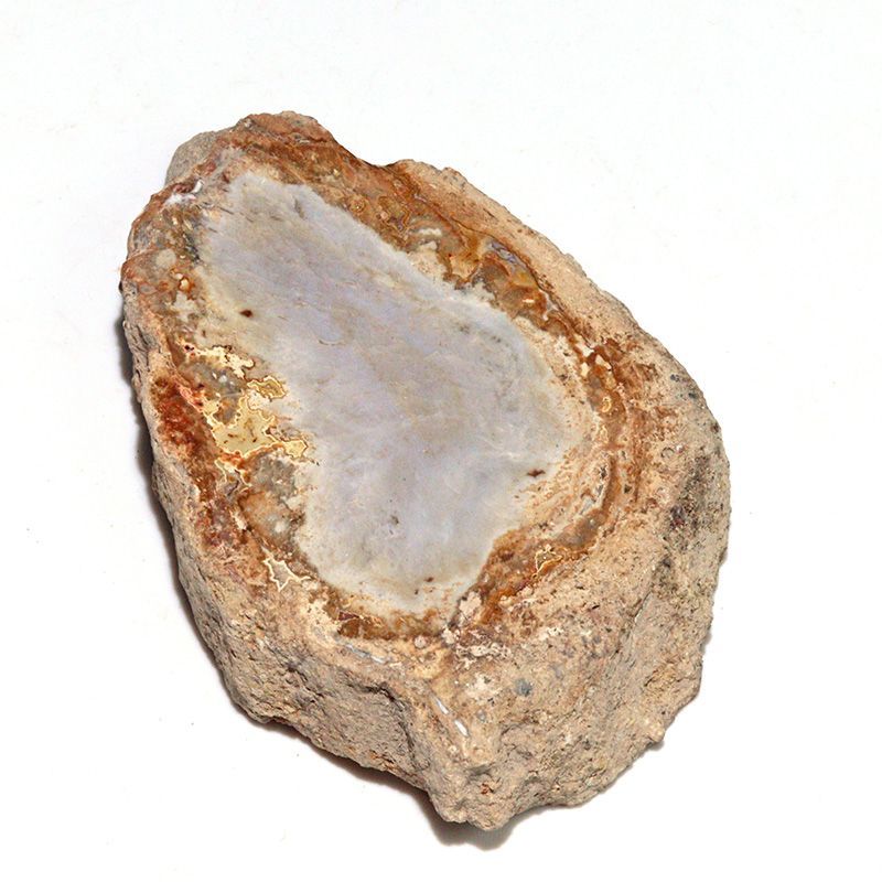 珪化木 ペトリファイドウッド 天然石 原石 鉱物 木化石 1433g 