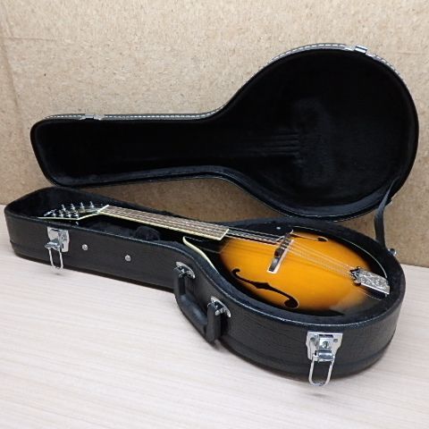 Aria AM-20 マンドリン ケース付き アリア