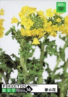 生活家電 Photobit 16 春の花