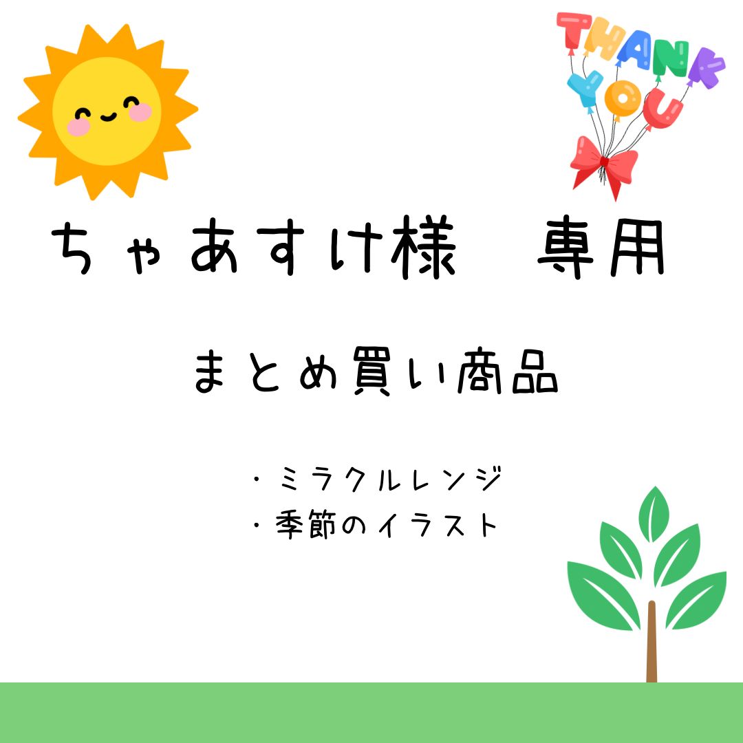あーちゃん様ご確認用 ちゃあすけ様専用 まとめ買い商品 ちび助様 【公式通販】