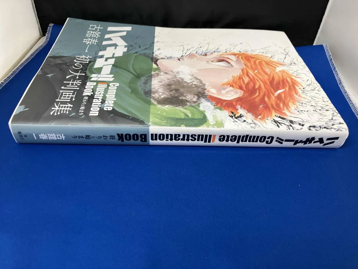 ハイキュｰ!! Complete Illustration Book 終わりと始まり 古舘春一