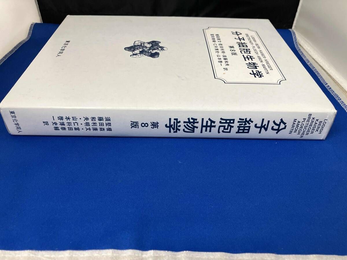 分子細胞生物学 第8版 分子細胞生物学 （第8版） 【公式通販】