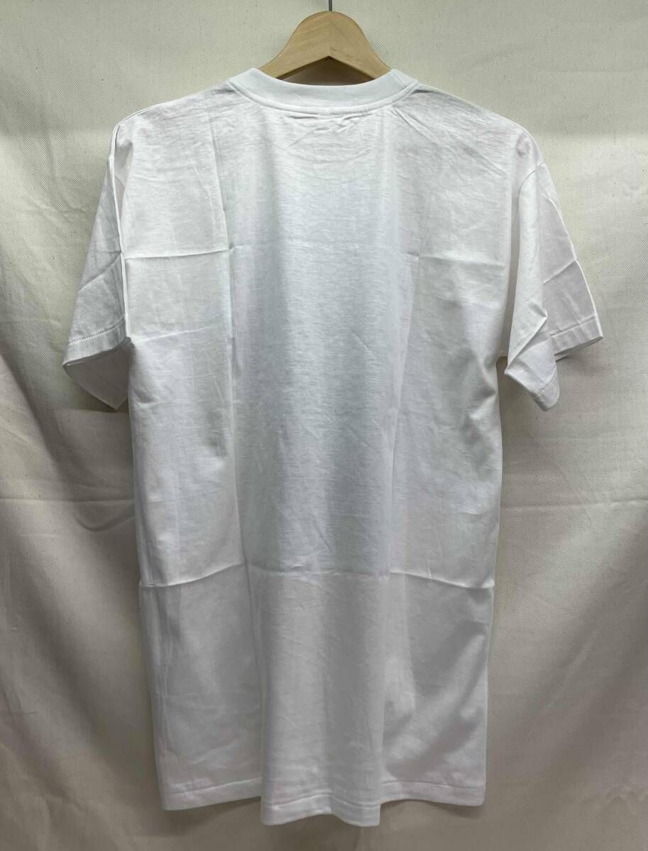 ZARD/坂井泉水 /90s Vintage/ザード/L/古着/バンド/グラフィックT