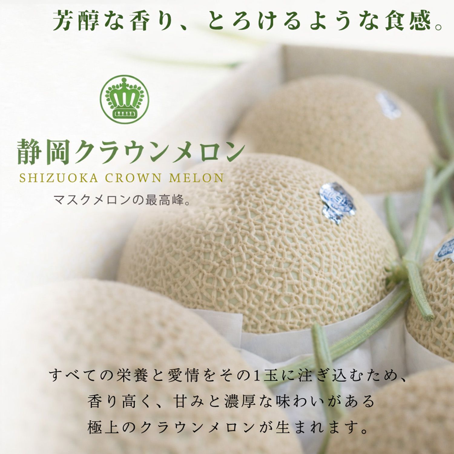 静岡クラウンメロン 1玉(約1.2kg) 白等級 王冠ラベル付 - メルカリ
