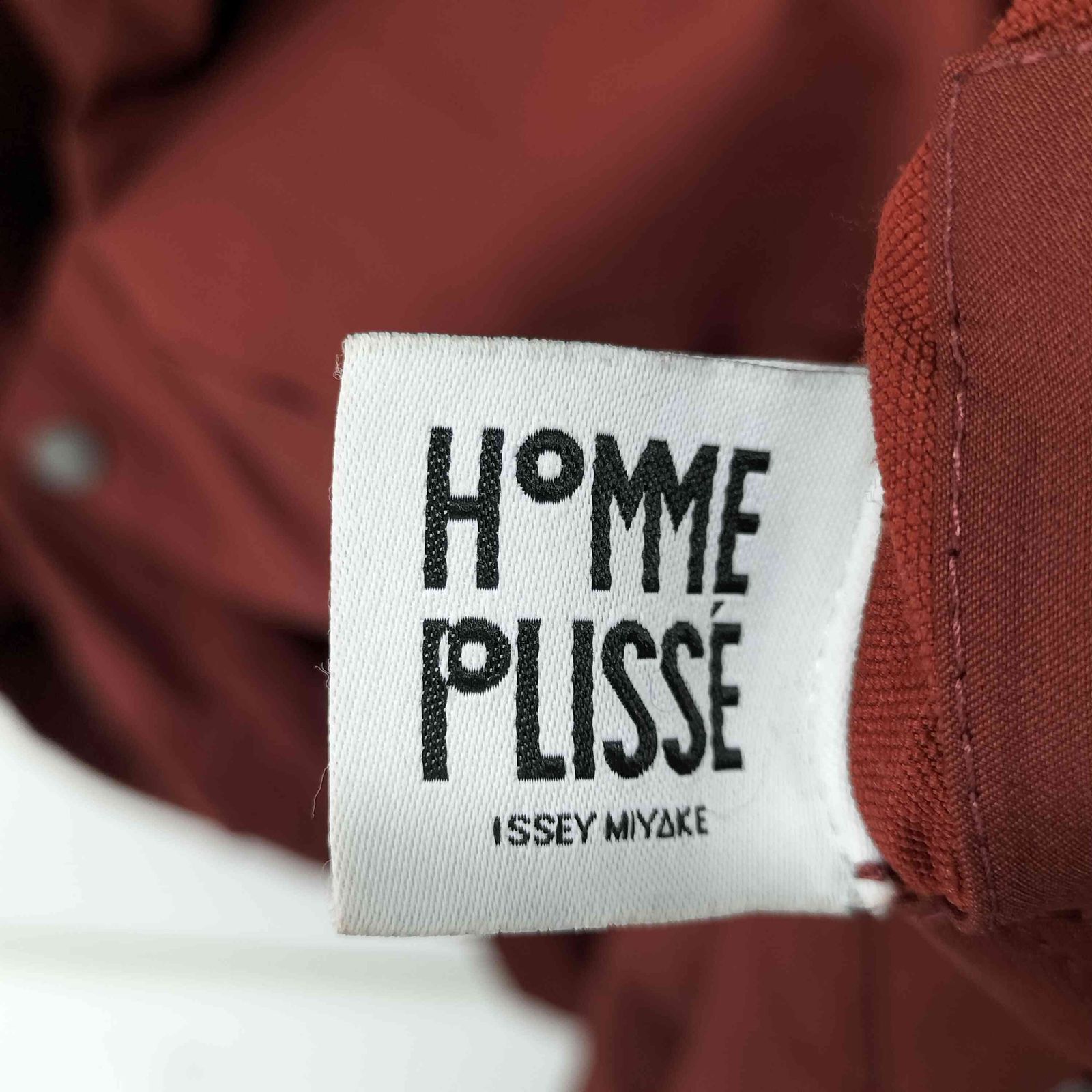 オムプリッセイッセイミヤケ HOMME PLISSE ISSEY MIYAKE 19AW エッジ