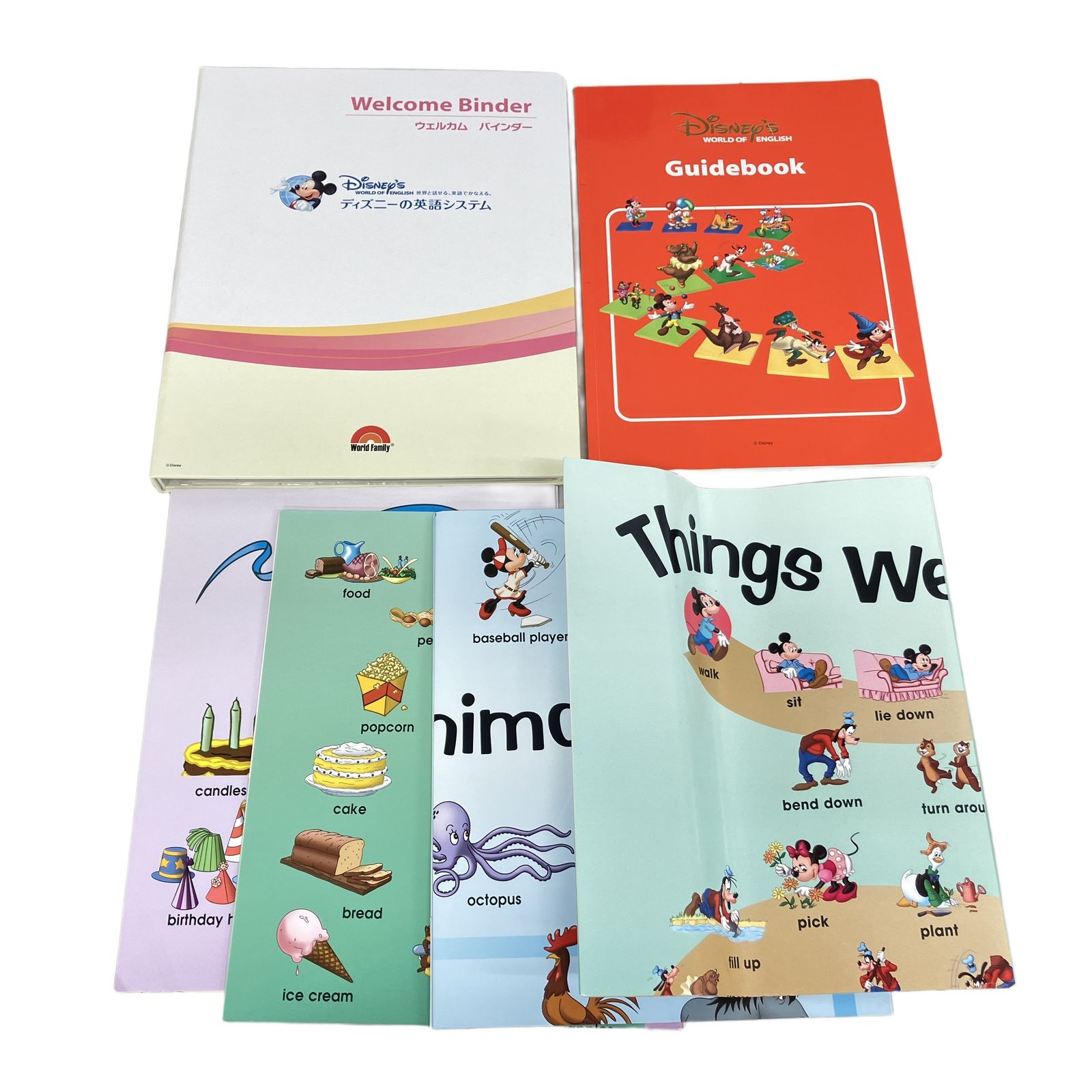 DWE ディズニー英語システム シングアロング など 2017年頃 DVD版 英語