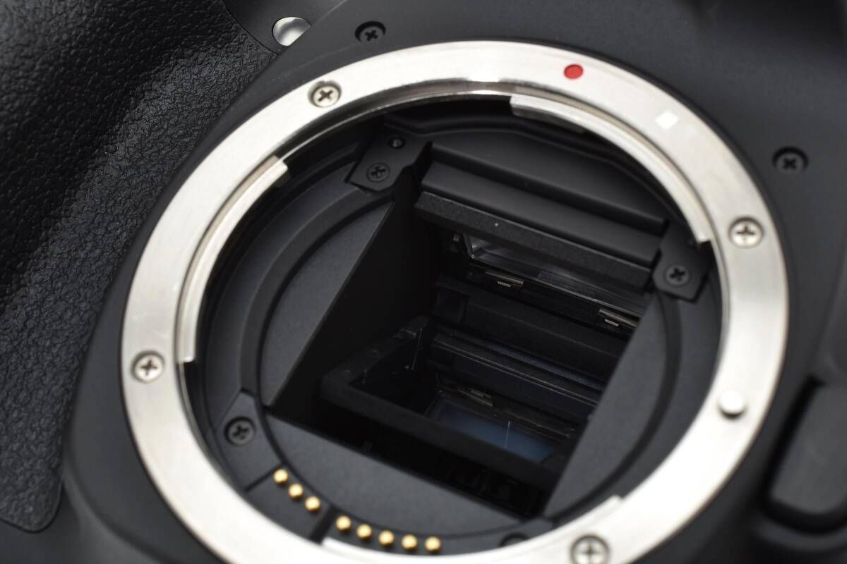 ☆極上美品☆《ショット数779回 》キヤノン Canon EOS 80D ボディ