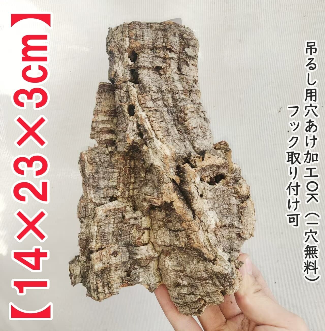 t304 ポルトガル産 厚め コルク樹皮 コルク板 バージンコルク 送料無料