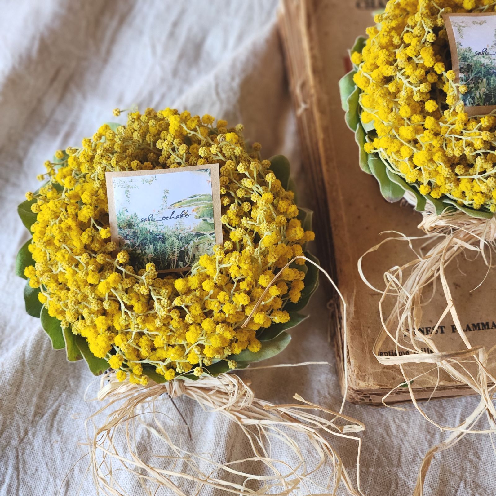 №157 パールアカシア 真珠葉 ミモザ ドライフラワー ミニリース 春色