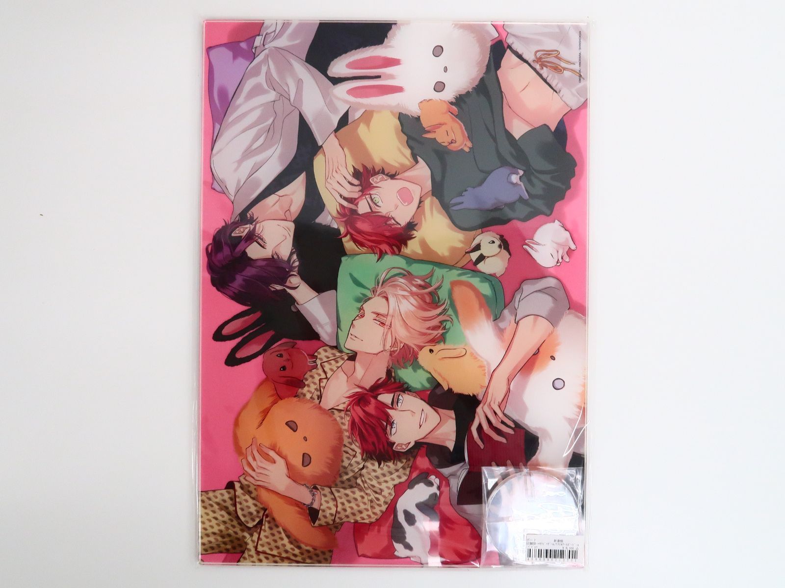 アクリルアートボード A セラピーゲーム 日ノ原巡 - メルカリ