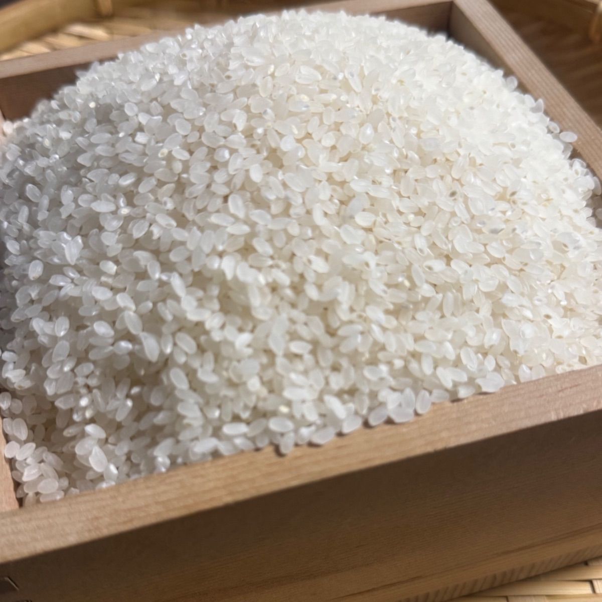 送料無料】令和7年産 岩手県産あきたこまち 10kg×2袋 - メルカリ