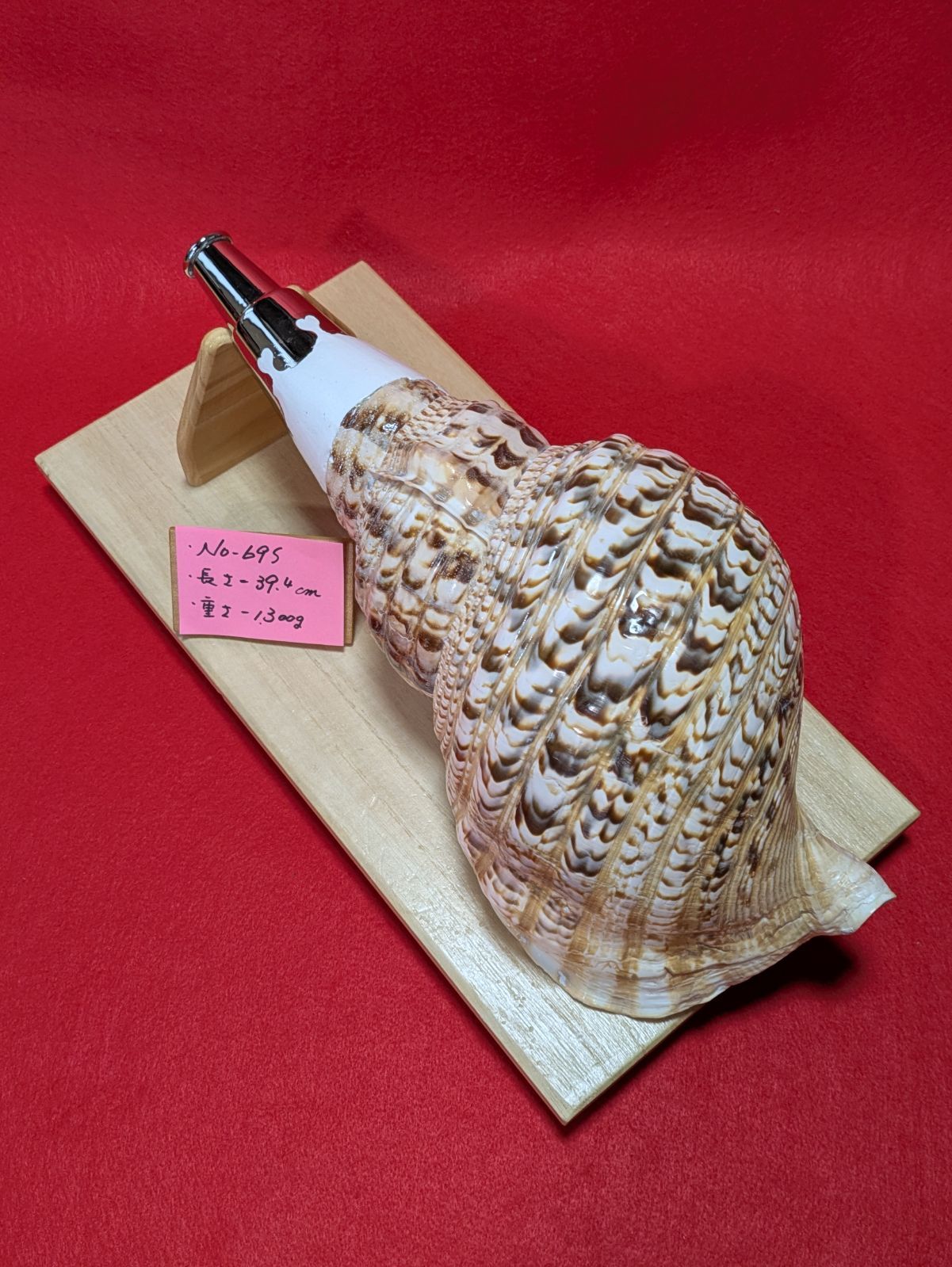 NO−69.S 法螺貝#金具入り#ほら貝#ホラ貝#修験道#和楽器