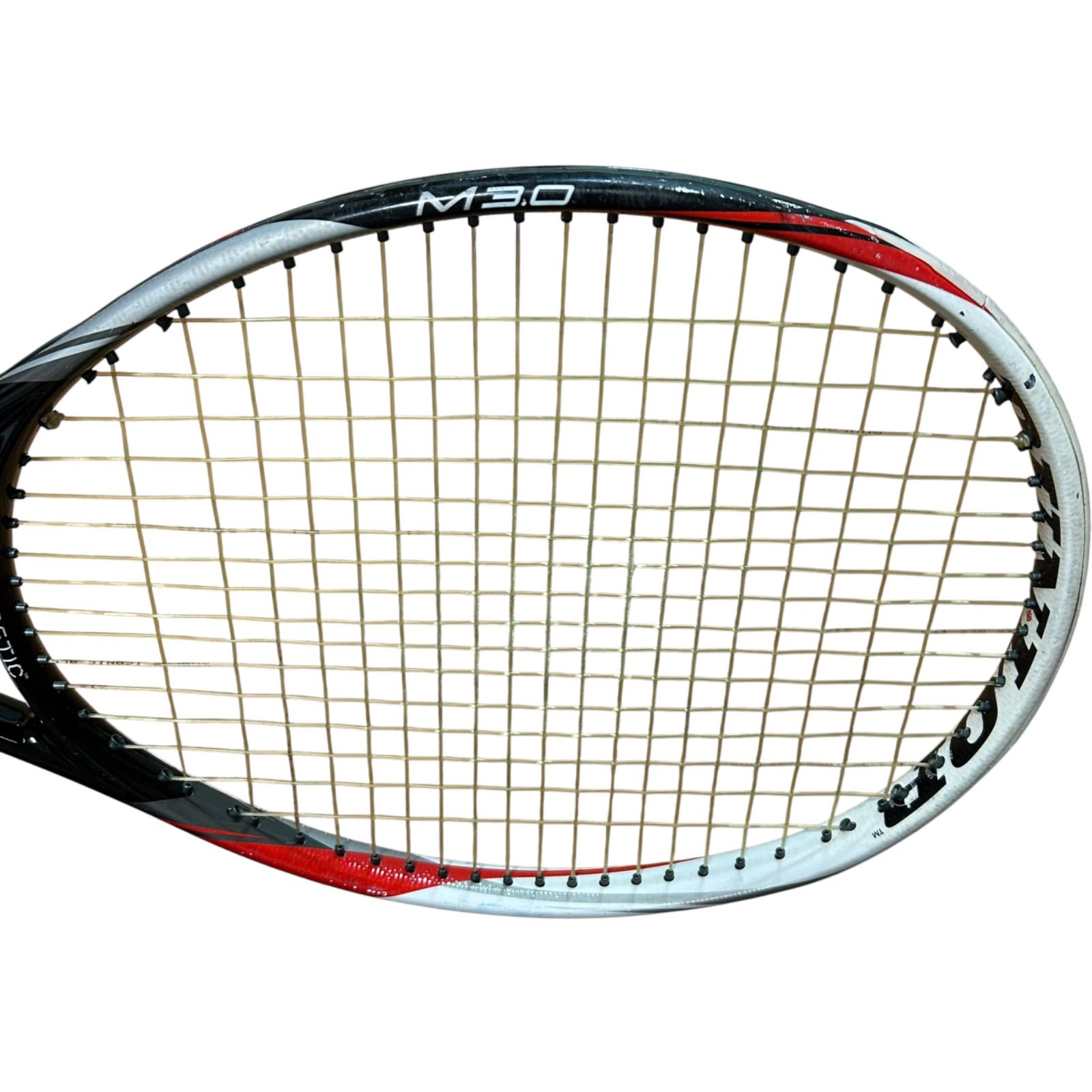 DUNLOP BIOMIMETIC M3.0 ダンロップ バイオミメティック テニス