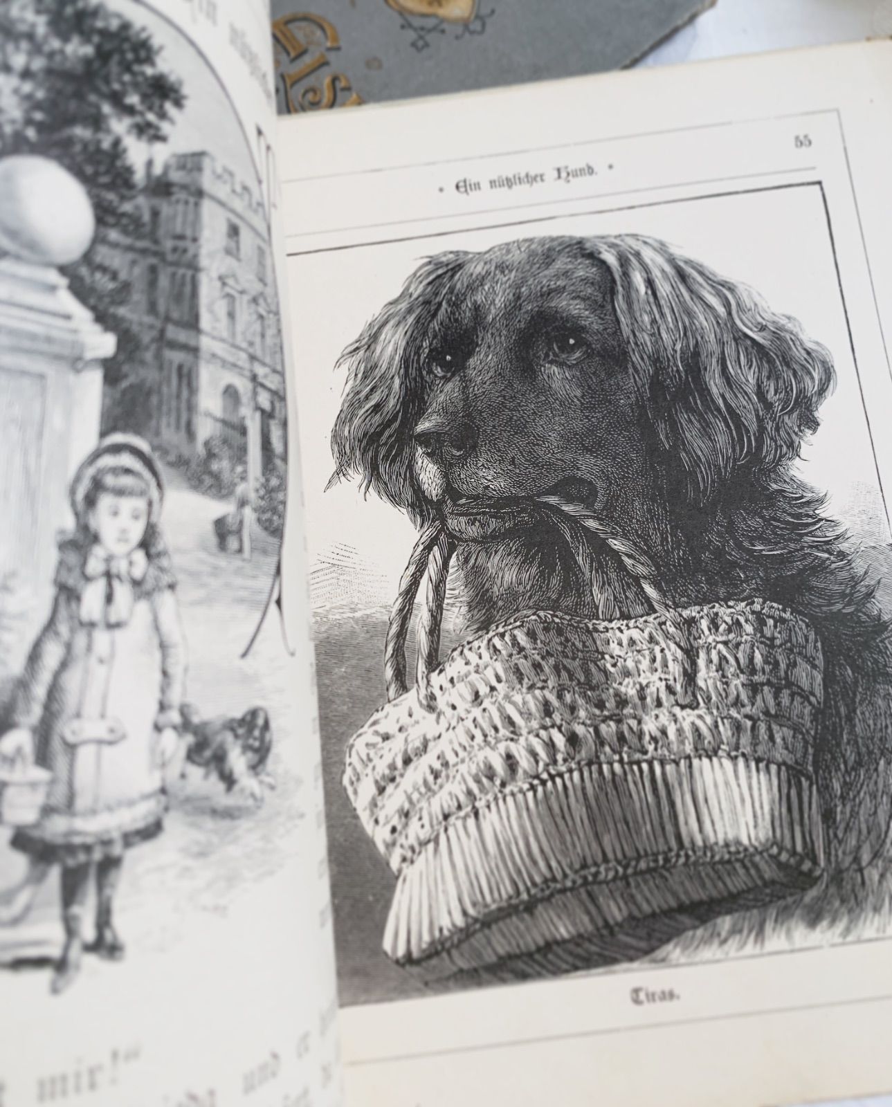 19世紀末〜20世紀初頭頃出版-年代物の素敵な印刷による挿画- ドイツ