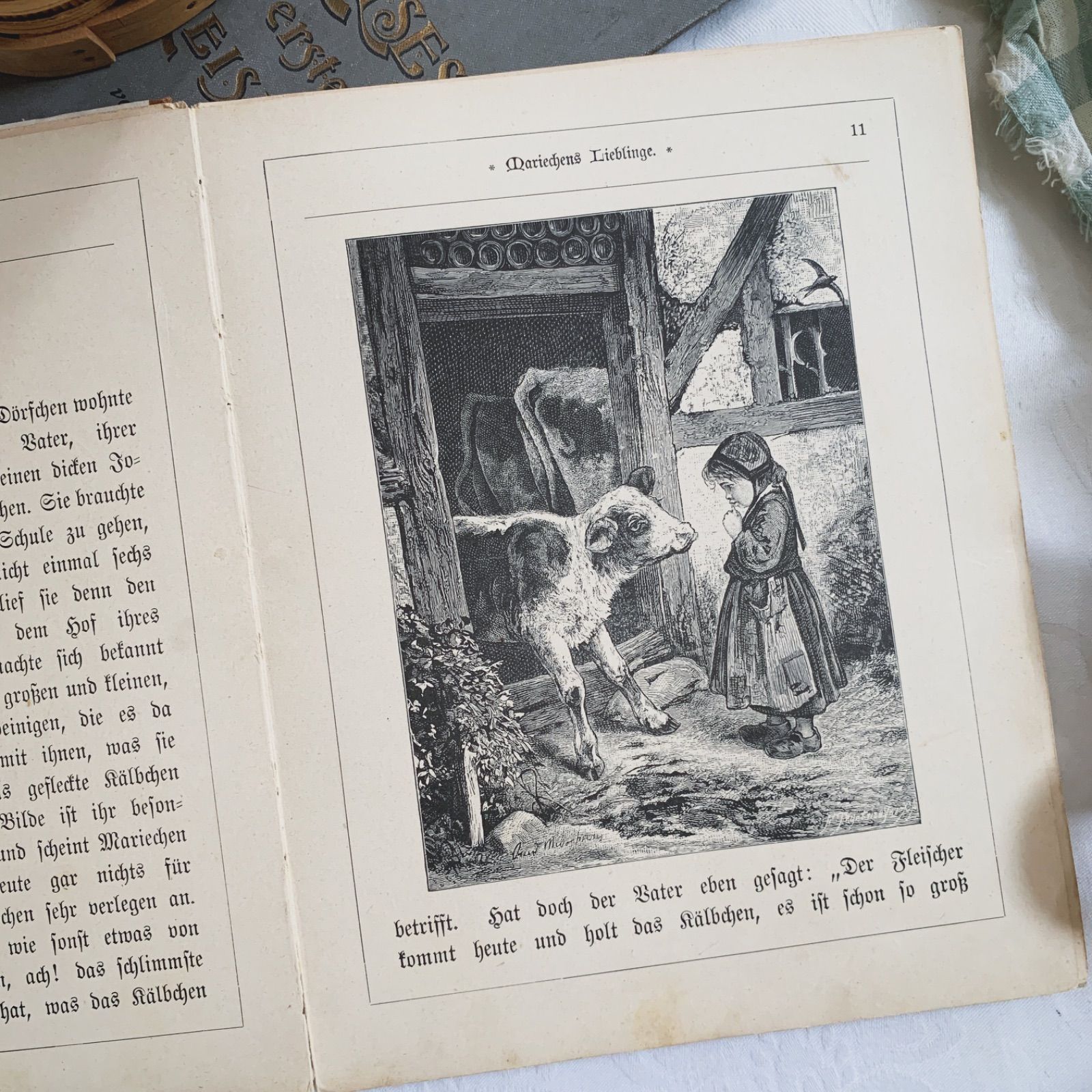 19世紀末〜20世紀初頭頃出版-年代物の素敵な印刷による挿画- ドイツ