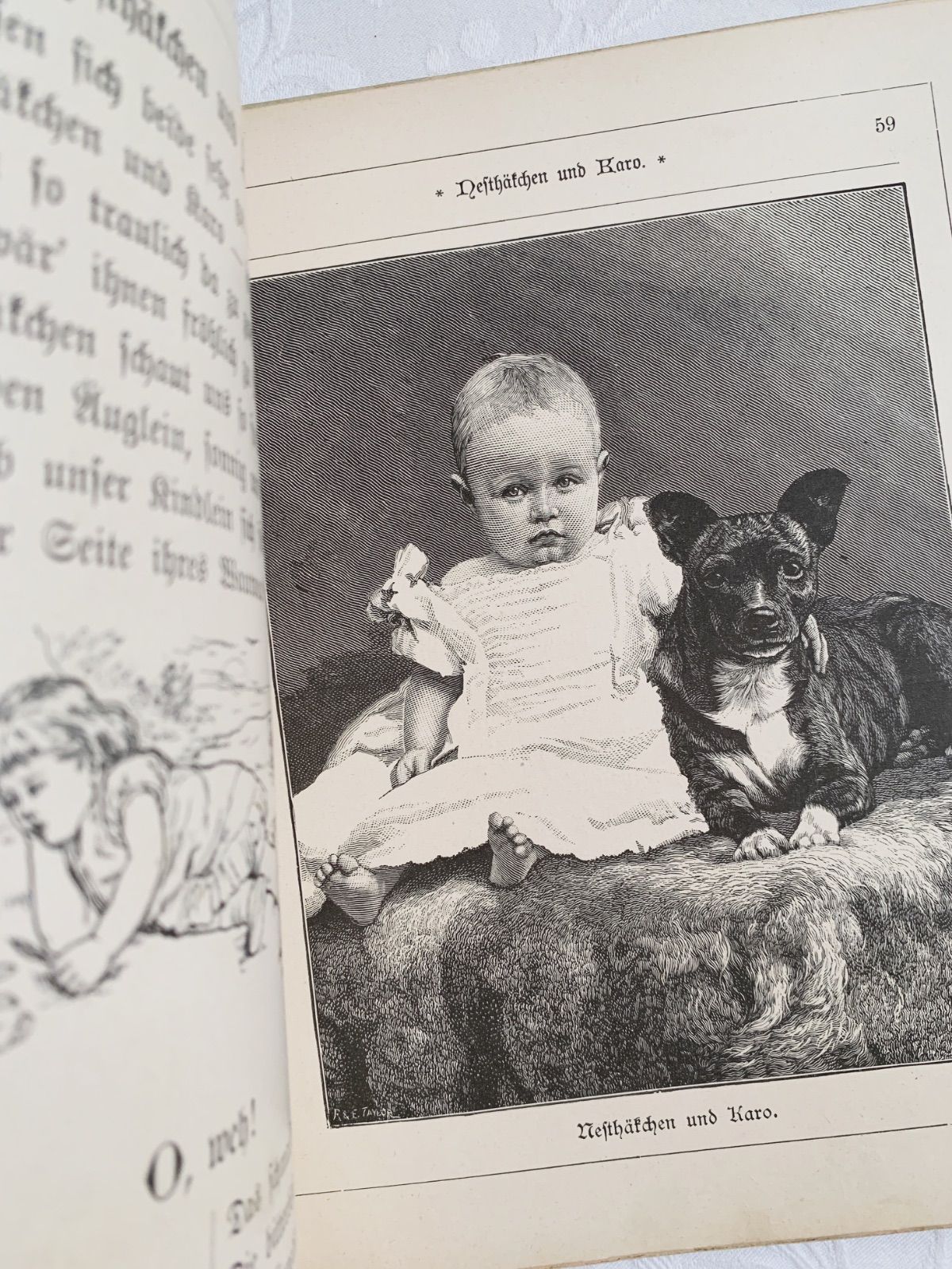 19世紀末〜20世紀初頭頃出版-年代物の素敵な印刷による挿画- ドイツ